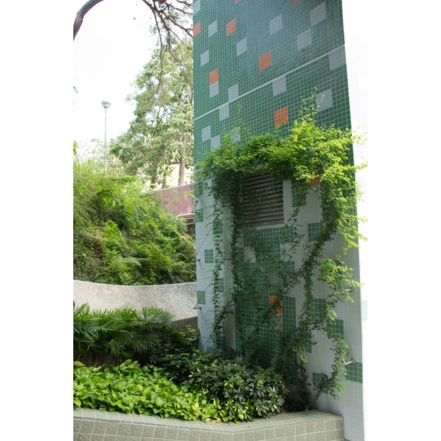 圖片3