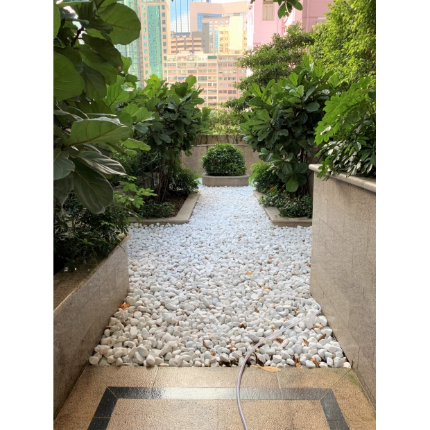 IGT-1810264 Wise Link - The Avenue 1