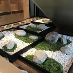 IGT-1906326-OTP Mini Garden2
