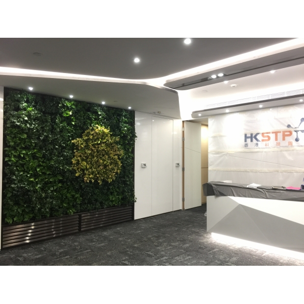 IGT-1812276 - Bravolinear - HKSTP in 5E 2