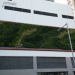 IGT-1611127 - Chun Wo - Lot TMTL 499, Tseng Choi Street, Area 4, Tuen Mun 屯門井財街