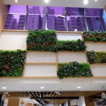 IGT-1608119 - Hsin Chong - AEON Whampoa 9