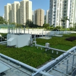 IGT-1504068 - Yau Lee - Chai Wan Factory 2