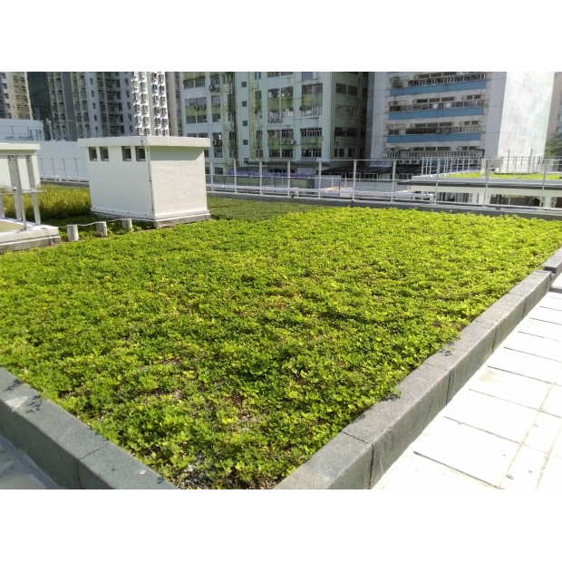 IGT-1504068 - Yau Lee - Chai Wan Factory 4