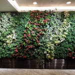 1905322-China Minmetals Tower 2
