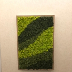 1910358-M Moser 2