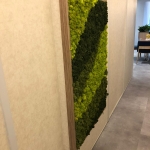 1910358-M Moser 1