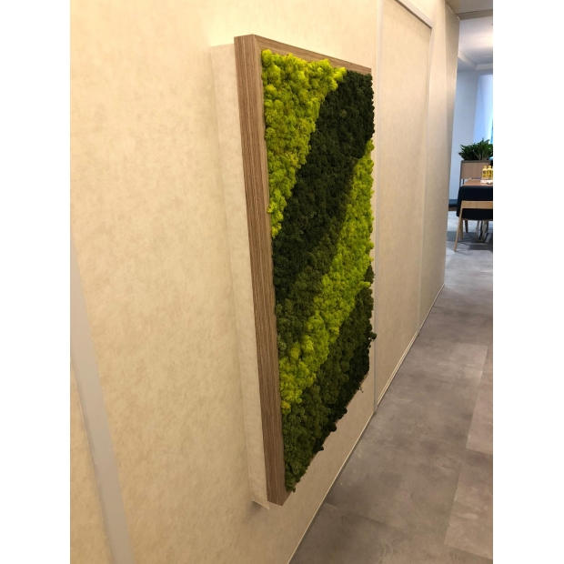 1910358-M Moser 1