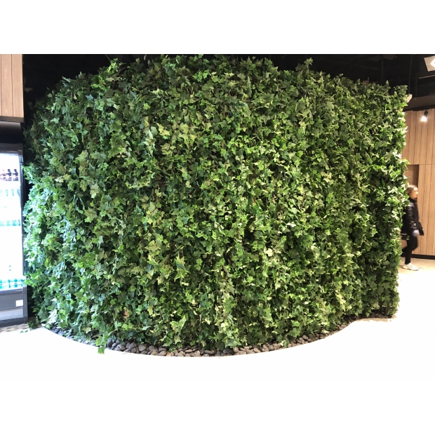 1904309 祟安街 5