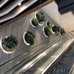1904309 祟安街 1