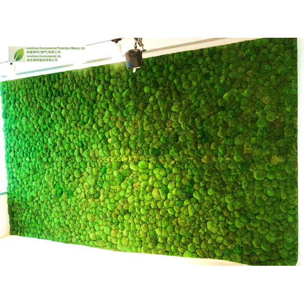 2003403-hogan lovells 1