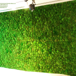 2003403-hogan lovells 1