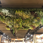 The Eslite at City Plaza, TaiKoo Shing (2020)