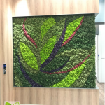 HKBH Ambulatory Medical Centre (2020)
