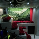 IMAG0946