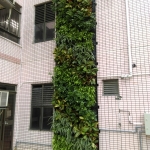 IMAG5051