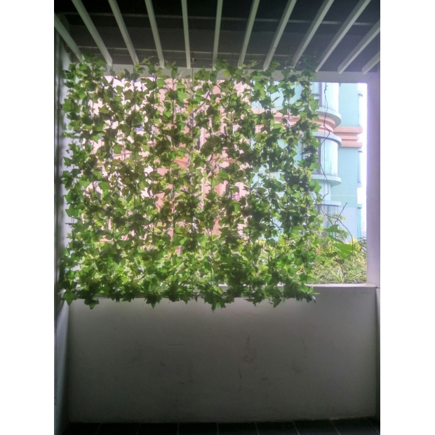 IMG-20170426-WA0001