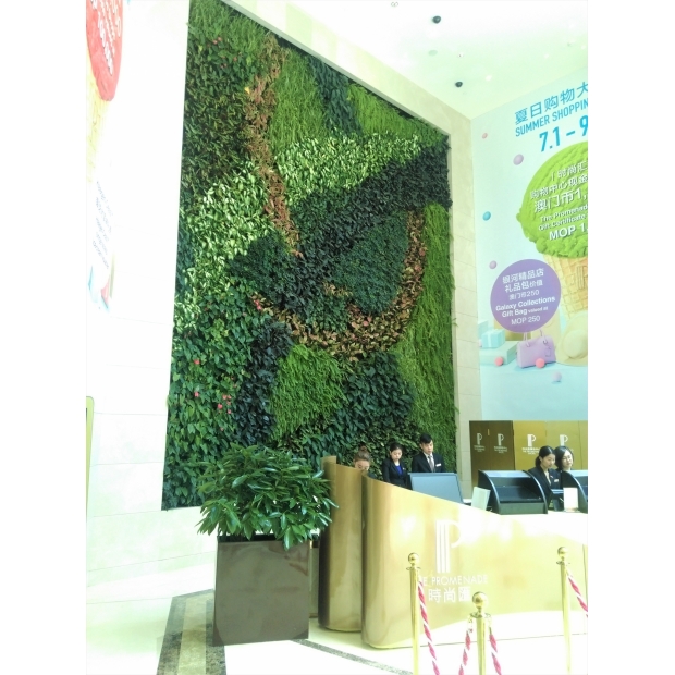 IMAG6286