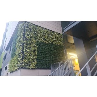 1910364-Towngas 2(replacement)