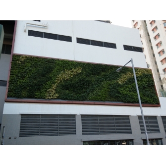 IGT-1611127 - Chun Wo - Lot TMTL 499, Tseng Choi Street, Area 4, Tuen Mun 屯門井財街