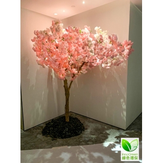Show flat in Kowloon Bay (2021)
