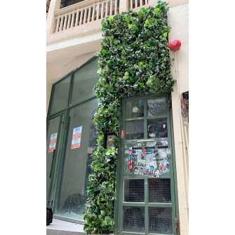 IGT-1903304 LOVE HAIR 2
