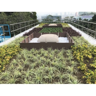 IMG_6145