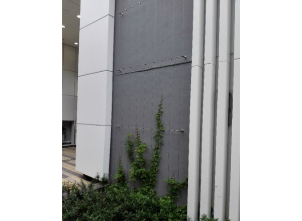 Climber  -2016 Sports centre, community hall and district library in Area 14B, Sha Tin