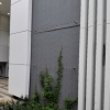 Climber  -2016 Sports centre, community hall and district library in Area 14B, Sha Tin